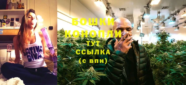 прущая мука Горняк