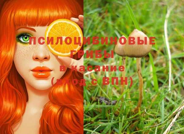 каннабис Горнозаводск